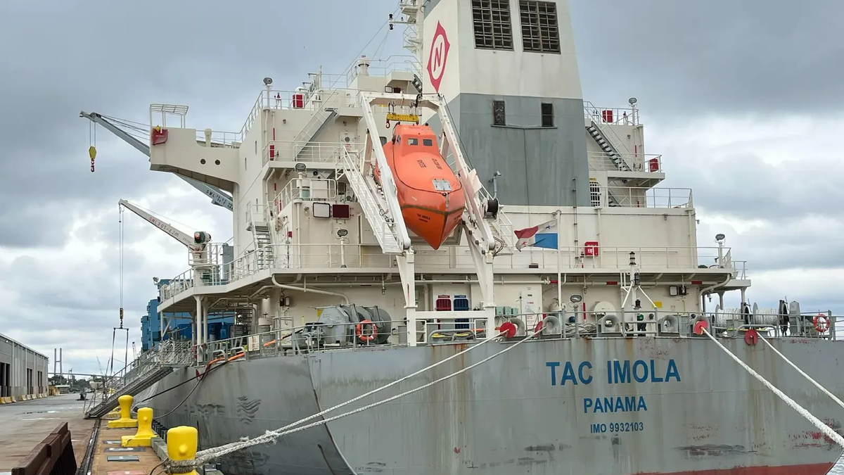 El puerto de San Pedro exportará 33.000 toneladas de trigo a Brasil con el  arribo del buque TAC IMOLA