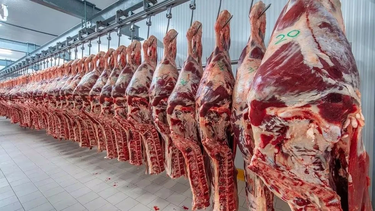 China rechazó un embarque de 22 toneladas de carne argentina tras detectar la presencia de cloranfenicol, un antibiótico prohibido en la producción ganadera. La decisión impacta sobre la empresa ArreBeef y encendió alertas en el sector agroexportador. China rechazó un embarque de 22 toneladas de carne argentina tras detectar la presencia de cloranfenicol, un antibiótico prohibido en la producción ganadera. La decisión impacta sobre la empresa ArreBeef y encendió alertas en el sector agroexportador.