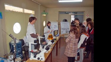 Cada año es creciente el número de grupos escolares que participan. (ARCHIVO LA OPINION)