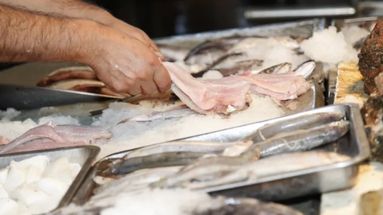 Semana Santa bajo control: inspecciones para asegurar la calidad del pescado en Pergamino