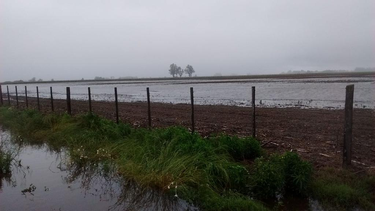 lluvias en la region nucleo: mas de 100 milimetros en pocas horas y alertas por excesos lluvias en la region nucleo: mas de 100 milimetros en pocas horas y alertas por excesos