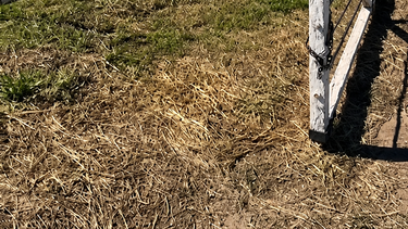 El intento de robo ocurrió en un campo cercano al Aeródromo provincial. El intento de robo ocurrió en un campo cercano al Aeródromo provincial.