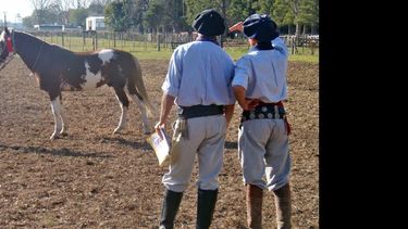 Unas 150 cabañas de la ciudad y la zona participarán de la Exposición de Criollos. (ARCHIVO LA OPINION)