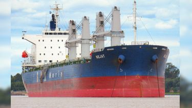 carga de soja, girasol y maíz con destino a Estados Unidos carga de soja, girasol y maíz con destino a Estados Unidos