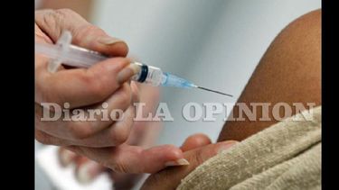 Grupos de riesgo: vacunarse es la principal herramienta de prevención. (LA OPINION)