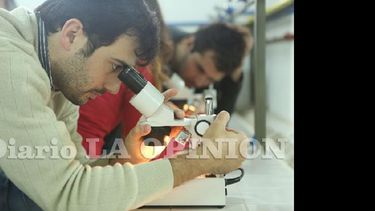Este año ingresaron a la carrera 87 inscriptos. (LA OPINION)