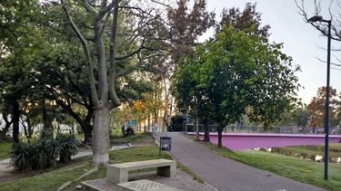 El joven cayó al costado de la senda peatonal del Terraplén del Arroyo a la altura del puente de la Mujer. El joven cayó al costado de la senda peatonal del Terraplén del Arroyo a la altura del puente de la Mujer.