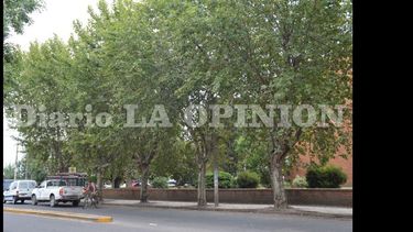 En la Cooperativa y la zona se percibe un olor similar al de las inmediaciones de un criadero de pollos.   (LA OPINION)