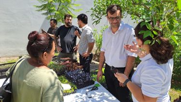 En una jornada fijada por el compromiso con la soberanía alimentaria y el acceso a una nutrición saludable, el Ministerio de Desarrollo Agrario de la Provincia de Buenos Aires realizó la entrega de más de mil plantines en el marco del Programa Huertas Urbanas en la Casa de la Provincia. En una jornada fijada por el compromiso con la soberanía alimentaria y el acceso a una nutrición saludable, el Ministerio de Desarrollo Agrario de la Provincia de Buenos Aires realizó la entrega de más de mil plantines en el marco del Programa Huertas Urbanas en la Casa de la Provincia.