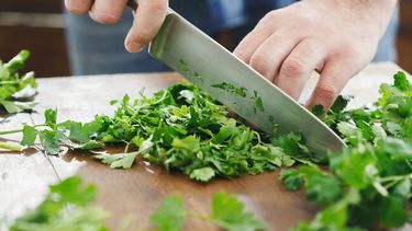 Esta hierba de la cocina latinoamericana puede ayudar a depurar el organismo, según explica una nutricionista de Atlanta, Georgia. Esta hierba de la cocina latinoamericana puede ayudar a depurar el organismo, según explica una nutricionista de Atlanta, Georgia.