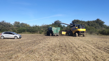 la economia del campo: ¿como lo afecta luego de la modificacion de las retenciones? la economia del campo: ¿como lo afecta luego de la modificacion de las retenciones?