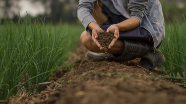gestion de suelo: un desafio de conciencia que apunta a mayor seguridad alimentaria gestion de suelo: un desafio de conciencia que apunta a mayor seguridad alimentaria