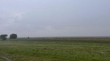 Las lluvias de esta semana serán importantes, no solo para consolidar la recuperación en la región núcleo, sino también para otras zonas de la región pampeana