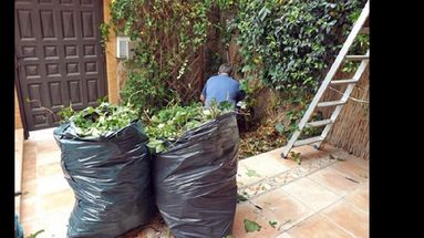 Las autoridades piden que se adecúen a los requerimientos.  (ARCHIVO LA OPINION)
