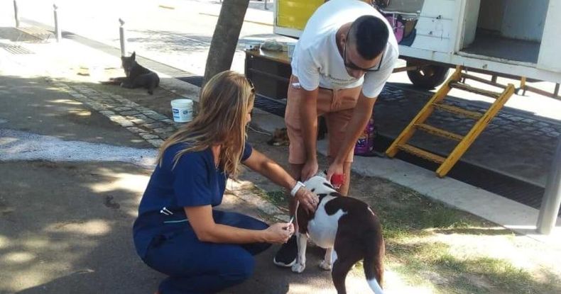 Para lograr el bienestar animal es fundamental el trabajo que lleva adelante todos los días el área de Veterinaria con el fin de prevenir enfermedades.