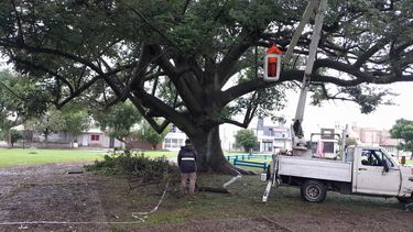 despues de la tormenta en pergamino, servicios publicos trabajo en plazas y parques despues de la tormenta en pergamino, servicios publicos trabajo en plazas y parques