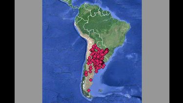 El mapa expone las Puertas abiertas en los templos del país. (AICA)