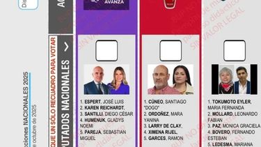 fallo la camara nacional electoral y la boleta de lla llevara la cara del pergaminense espert fallo la camara nacional electoral y la boleta de lla llevara la cara del pergaminense espert