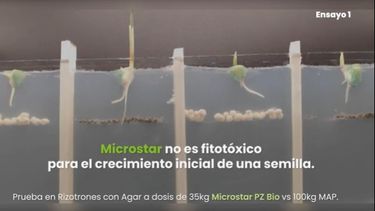 En esta campaña, la incorporación de micronutrientes cobra un rol central dentro de la estrategia de nutrición. En esta campaña, la incorporación de micronutrientes cobra un rol central dentro de la estrategia de nutrición.