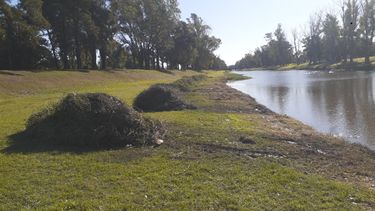 en el arroyo pergamino intensifican tareas de limpieza y mantenimiento en el arroyo pergamino intensifican tareas de limpieza y mantenimiento