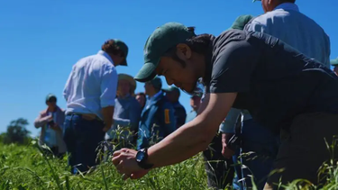 el inta y la innovacion: un proceso que requiere colaboracion y trabajo en red el inta y la innovacion: un proceso que requiere colaboracion y trabajo en red