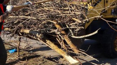 Recolección de residuos voluminosos: así será el cronograma de diciembre Recolección de residuos voluminosos: así será el cronograma de diciembre