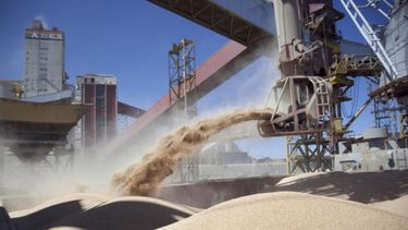 La Cámara de la Industria Aceitera Argentina (Ciara) salió rápidamente a repudiar la medida. La Cámara de la Industria Aceitera Argentina (Ciara) salió rápidamente a repudiar la medida.