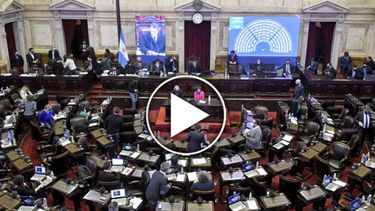 Diputados trabaja en una ley que asegure cuidados paliativos a pacientes Diputados trabaja en una ley que asegure cuidados paliativos a pacientes