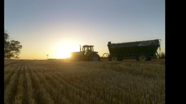 El Fondo Estabilizador del Trigo Argentino fue creado en 2022 para subsidiar a los molinos elaboradores de harina. El Fondo Estabilizador del Trigo Argentino fue creado en 2022 para subsidiar a los molinos elaboradores de harina.