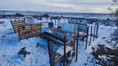 bebedero congelado bebedero congelado