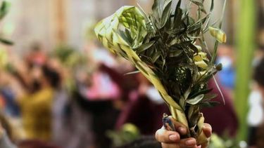 Este día, la Iglesia celebra la entrada de Jesús en Jerusalén.