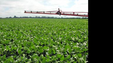 Buenas prácticas en la aplicación de agroquímicos, uno de los temas a tratar.  (ARCHIVO LA OPINION)