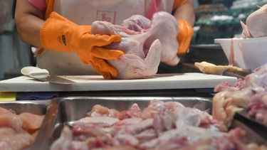 el pollo registró un incremento del 6,3%. el pollo registró un incremento del 6,3%.