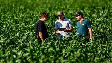 La disminución en las retenciones generó optimismo en los productores. La disminución en las retenciones generó optimismo en los productores.