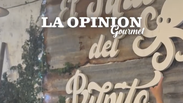 el patio del pulpito: un lugar pensado para vos el patio del pulpito: un lugar pensado para vos