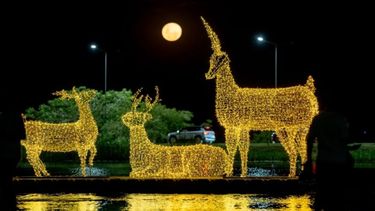 San Nicolás de los Arroyos volvió a transformarse este diciembre en un gran escenario festivo: luces, colores y estructuras gigantes decoran los puntos más emblemáticos de la ciudad para dar inicio a una nueva temporada navideña que ya se convirtió en tradición. San Nicolás de los Arroyos volvió a transformarse este diciembre en un gran escenario festivo: luces, colores y estructuras gigantes decoran los puntos más emblemáticos de la ciudad para dar inicio a una nueva temporada navideña que ya se convirtió en tradición.