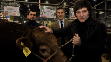 Campo Argentino en alerta con Milei Campo Argentino en alerta con Milei