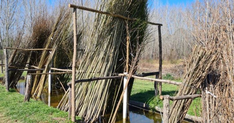 La  unidad forestal  cuenta con 115 hectáreas rodeadas de álamos, eucaliptos, pinos, ciprés  calvo, plátanos,  robles , araucarias y otras especies.