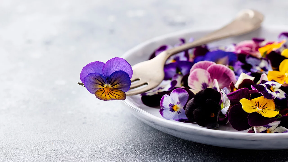 Flores comestibles: cuáles se incorporan al Código Alimentario y por qué crece su uso Flores comestibles: cuáles se incorporan al Código Alimentario y por qué crece su uso