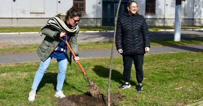 Los ejemplares aportados por als instituciones y plantados en conjunto, fueron: 9 arce (Acer buergerianum), 6 jacarandá, 2 lapachos rosados, 4 ceibos, 2 tipas y 1 roble americano.