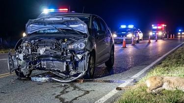 Un Citroën DS3 chocó contra el puma y su parte frontal quedó prácticamente destrozada. Un Citroën DS3 chocó contra el puma y su parte frontal quedó prácticamente destrozada.