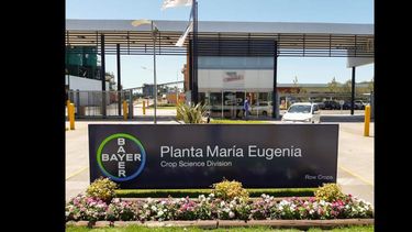 Como parte del plan se potenciará la capacidad productiva y la gestión operativa de las plantas industriales de Pilar, María Eugenia (foto) y Zárate.