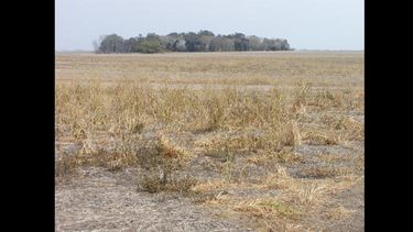 El Gobierno bonaerense declaró el estado de emergencia o desastre agropecuario en 33 partidos del distrito en diferentes períodos entre el 1° de junio y el 31 de diciembre de 2022.