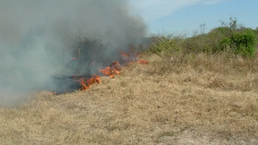 Focos de calor en el norte bonaerense en medio de una alerta extrema por incendios. Focos de calor en el norte bonaerense en medio de una alerta extrema por incendios.