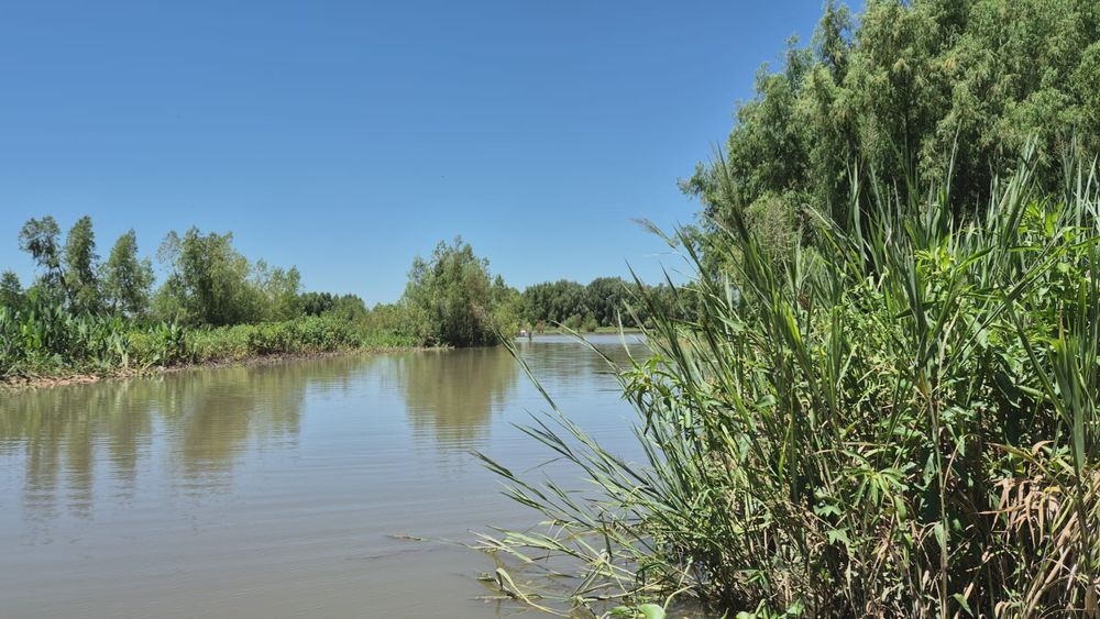 Presentaron un proyecto de ordenanza que busca declarar de Utilidad Social y Sujeto a Protección Ambiental y Urbanística a la totalidad de los terrenos ribereños públicos ubicados sobre la vera del Riacho San Pedro. Presentaron un proyecto de ordenanza que busca declarar de Utilidad Social y Sujeto a Protección Ambiental y Urbanística a la totalidad de los terrenos ribereños públicos ubicados sobre la vera del Riacho San Pedro.