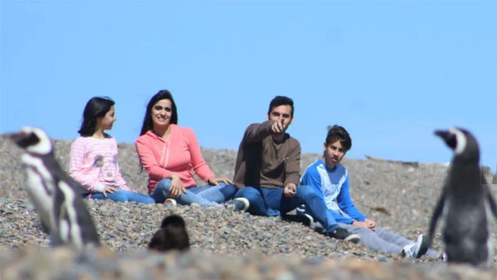 El avistaje de pingüinos en Puerto Madryn. Declarada Patrimonio Natural de la Humanidad por la Unesco en 1999, Península Valdés ofrece un verdadero safari marino. El avistaje de pingüinos en Puerto Madryn. Declarada Patrimonio Natural de la Humanidad por la Unesco en 1999, Península Valdés ofrece un verdadero safari marino.