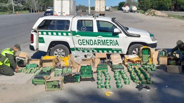 Efectivos de Gendarmería Nacional, pertenecientes a la Sección Núcleo del Escuadrón 63 “Zárate–Brazo Largo”, realizaron un operativo este fin de semana sobre la Ruta Nacional 9, a la altura del kilómetro 94,400, donde detuvieron la marcha de un transporte de encomiendas. Efectivos de Gendarmería Nacional, pertenecientes a la Sección Núcleo del Escuadrón 63 “Zárate–Brazo Largo”, realizaron un operativo este fin de semana sobre la Ruta Nacional 9, a la altura del kilómetro 94,400, donde detuvieron la marcha de un transporte de encomiendas.