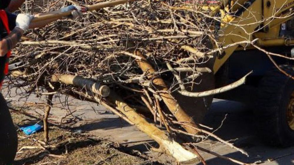 Recolección de residuos voluminosos: así será el cronograma de diciembre