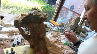 Hallaron la pelvis fosilizada de un megaterio de 500 mil años Hallaron la pelvis fosilizada de un megaterio de 500 mil años