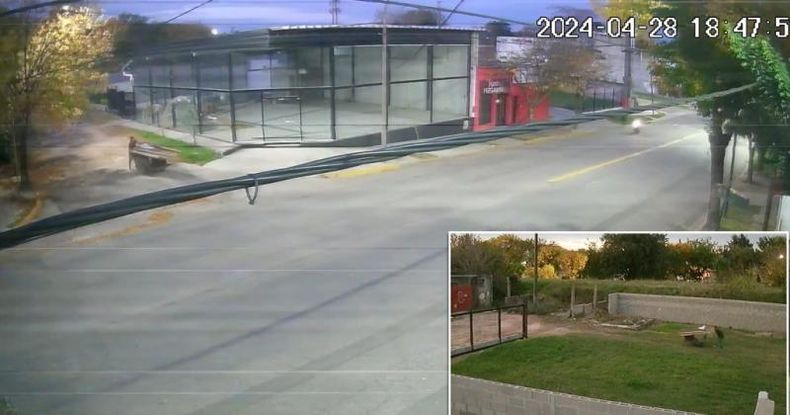 En la tarde del domingo un ladrón se llevó la hoja del portón de un depósito y este martes ingresaron nuevamente a sustraer elementos del interior.